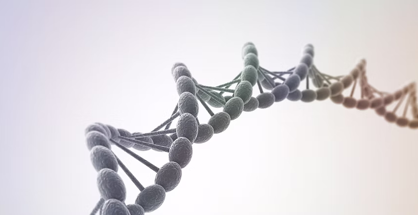 Determining a Child’s Parentage Under British Columbia Law